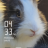 bamboo24