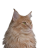 yogaveri123