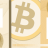 synn13